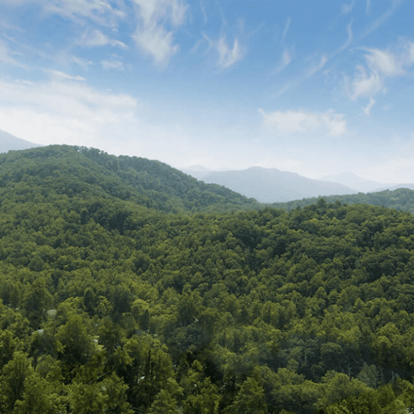 Enjoy a Smoky Mountains Tennessee vacation.