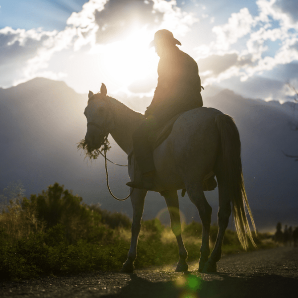 Picture of person horseback riding in Gatlinburg.