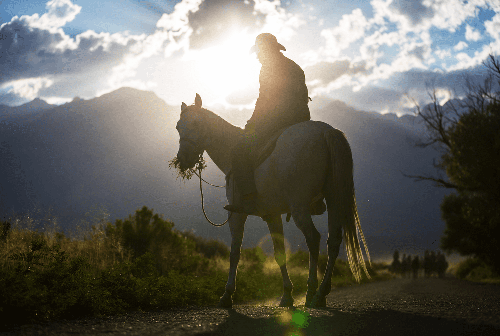 Picture of person horseback riding in Gatlinburg.