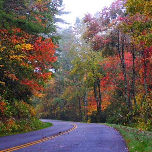 A Tennessee roadway surrounded by fall foliage.
