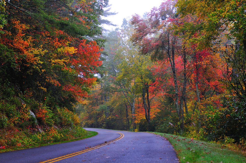 A Tennessee roadway surrounded by fall foliage.