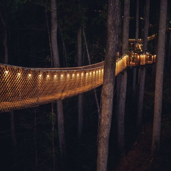 The view of a treetop walk, one of the unique things to do in Gatlinburg.