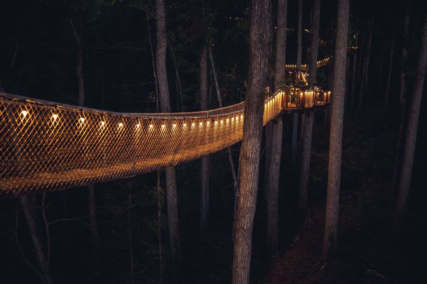 The view of a treetop walk, one of the unique things to do in Gatlinburg.