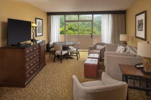 The living space of a Gatlinburg hotel room to relax in after snow tubing at Ober Mountain.