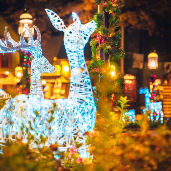 Light displays in Gatlinburg that are part of the Christmas celebrations.