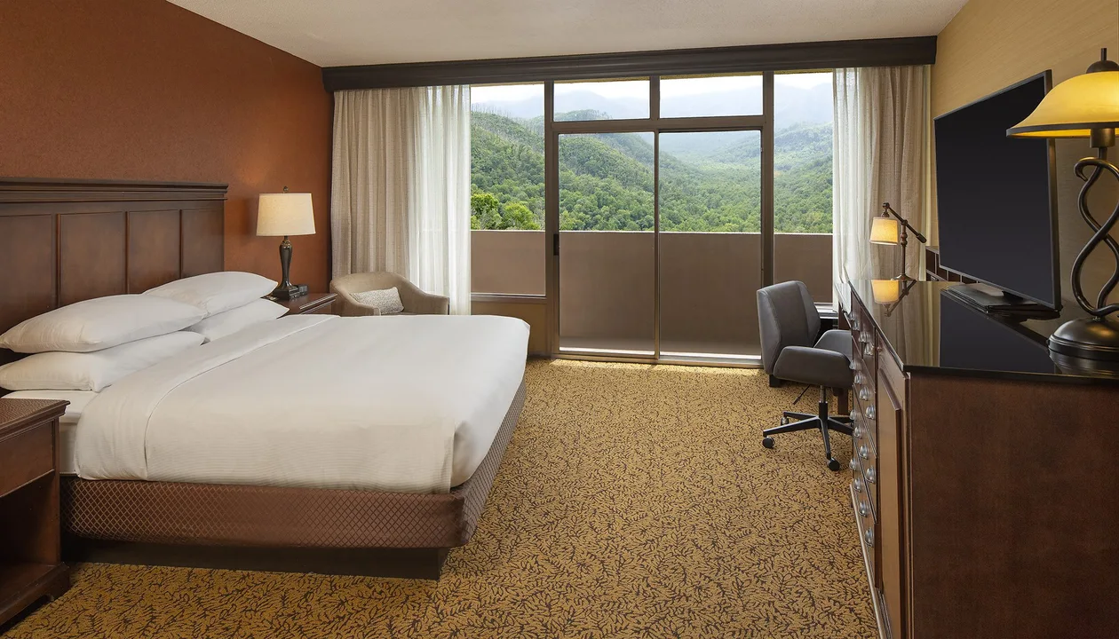 vista deluxe king pool view room