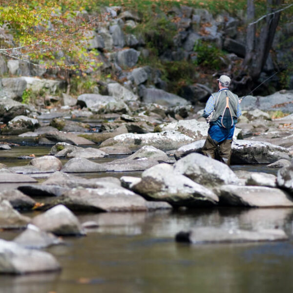 A man fishing in a stream near Gatlinburg.
