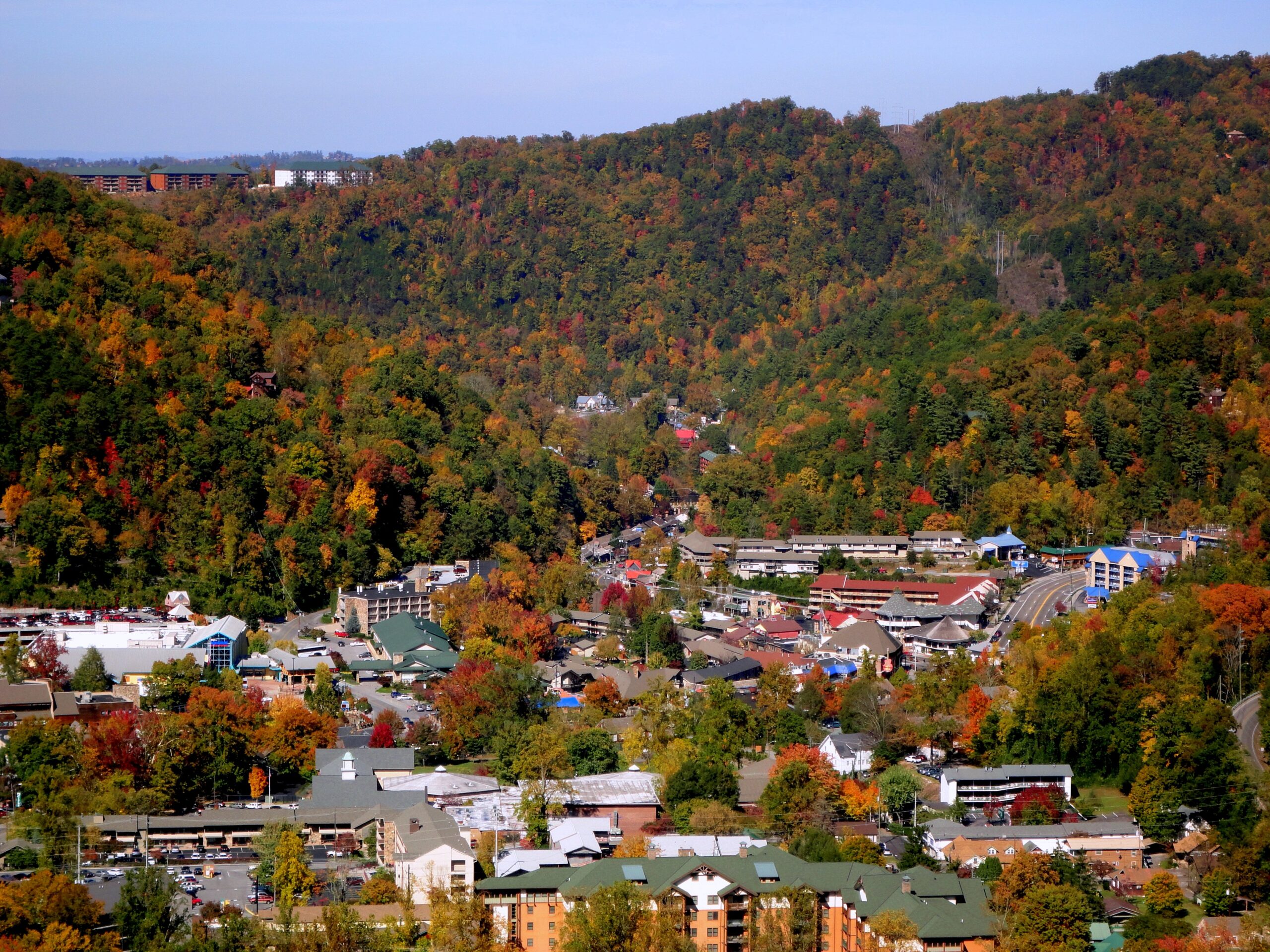 NATURE'S MAGICAL COLORING BOOK Park Vista