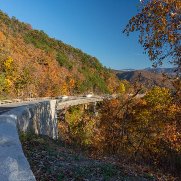 A scenic roadway in Wears Valley.