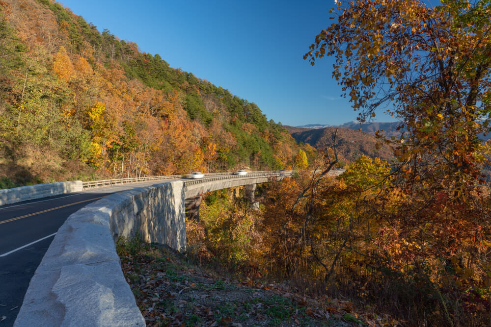 A scenic roadway in Wears Valley.