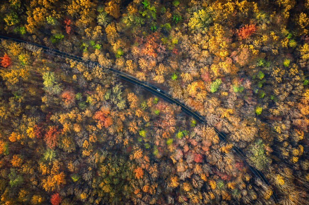 An aerial view of one of the scenic drives in Gatlinburg.