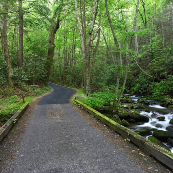 The Roaring Fork Motor Nature Trail, one of the top Gatlinburg attractions.