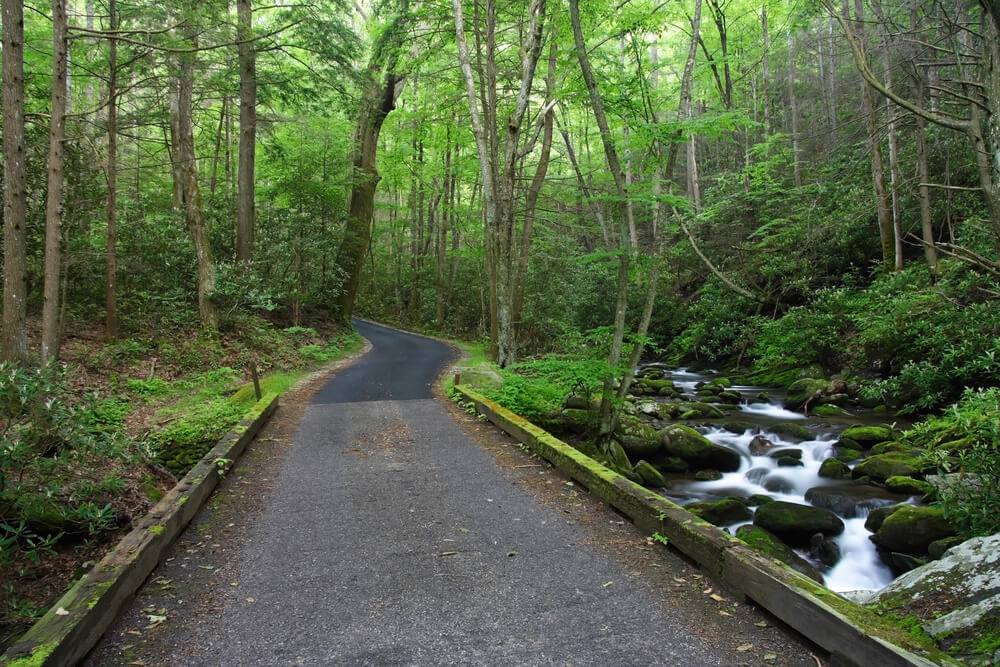 The Roaring Fork Motor Nature Trail, one of the top Gatlinburg attractions.