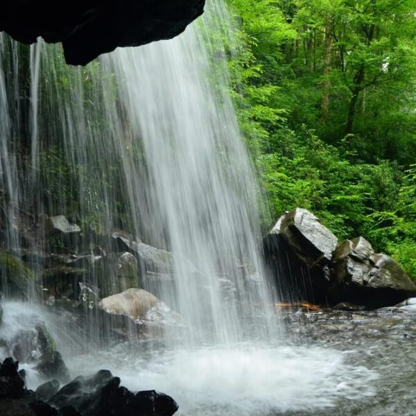 A waterfall to explore while hiking in Gatlinburg.